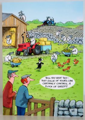 Blank Humour Greeting Card with envelope for any Occasion Sheep Control 10537