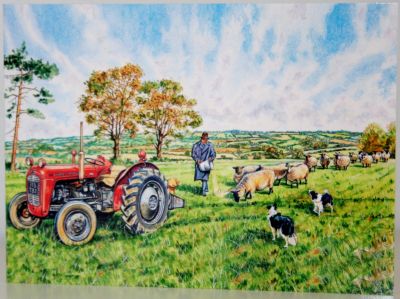 Blank Greeting Card with Envelope for any Occasion Massey Ferguson Tractor Free P&P 10453