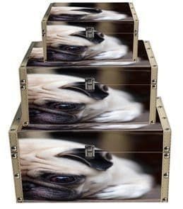 Sleepy Pug Storage Boxes Set of 3 X-3307