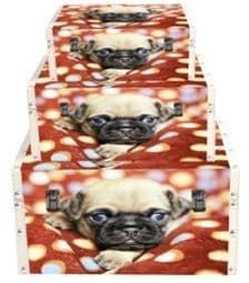 Cosy Pug Storage Boxes Set of 3 X-3308