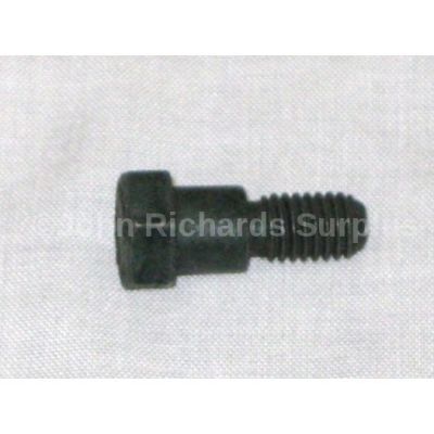 Land Rover gear lever bolt 576319