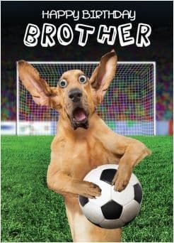 Gogglies Novelty Birthday Card Brother Free P&P H319