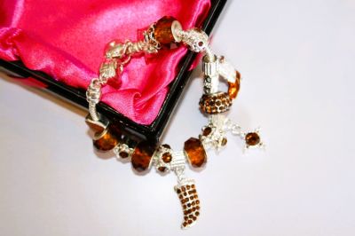 Ladies Bronze Charm Bracelet CB558