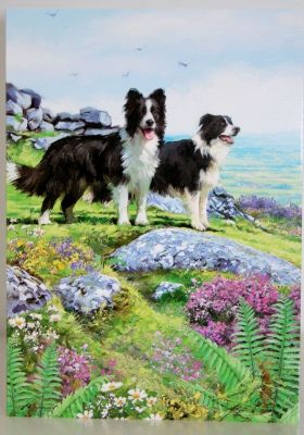 Country Card's Border Collie Pair Greeting Card Free P&P 10558