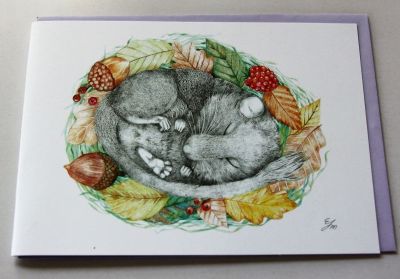 Emma Macleod Floral Wild Life Blank Greeting Card Dottie Field Mouse Free P&P
