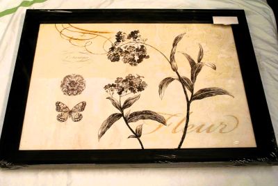 Framed Botanical Floral Study Print