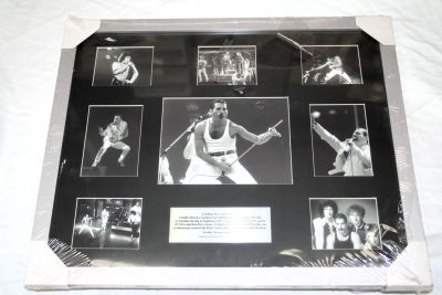 Limited Edition Freddie Mercury Framed Montage