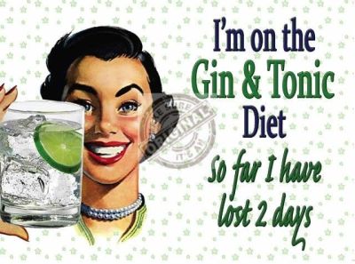 I'm On The Gin & Tonic Diet Small Metal Wall Sign 200mm x 150mm