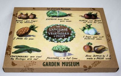 Language of Vegetables Placemats Set of 6 GM115