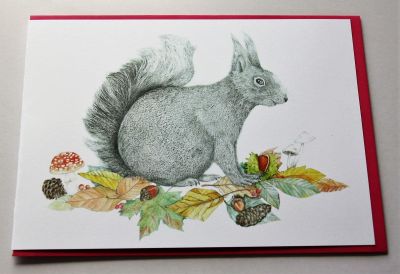 Emma Macleod Wild Life Blank Greeting Card Scully Grey Squirrel Free P&P