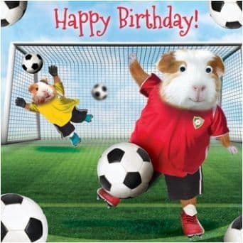 Gogglies Novelty Happy Birthday Greetings Card Guinea Pig Free P&P C2011