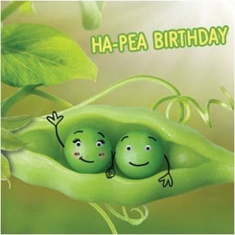 Gogglies Novelty Happy Birthday Greetings Card Ha-Pea Free P&P C2003