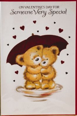 Valentines Day Card Someone Very Special Free P&P HAV254
