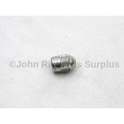 Chrome valve cap