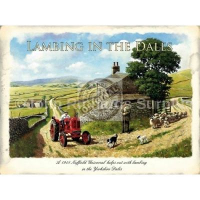 Lambing in the Dales Metal wall sign
