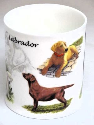 Labrador Dog China Mug