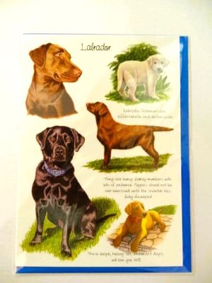 Labrador Dog Blank Greetings Card Free P&P LSE 0139