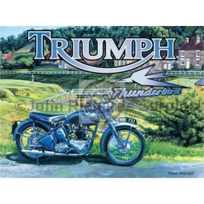 Small Metal wall sign Triumph Thunderbird Motorbike