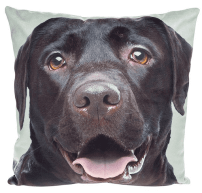 Mini Cushions Chocolate Labrador Dog
