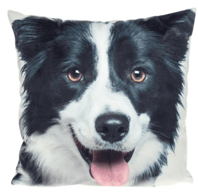 Mini Cushions Border Collie Dog