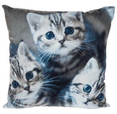 Mini Animal Cushion Kittens