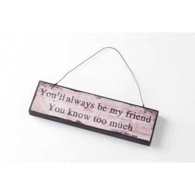 You'll Always Be My Friend You Know Too Much.. Wooden Hanging Wall Plaque PC126U