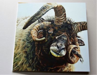 Animal Magic Blank Greeting Card with Envelope Jacob Sheep Free P&P