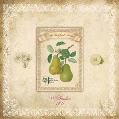 Blank Greetings Card with Fridge Magnet Pears Royal Horticultural Society 30016