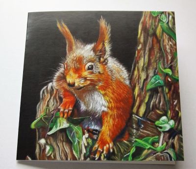 Animal Magic Blank Greeting Card with Envelope Red Squirrel Free P&P