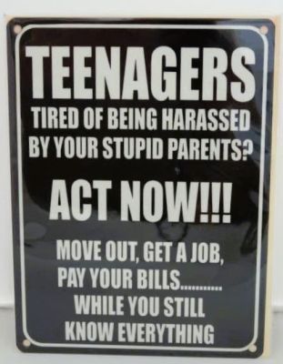 Teenagers Act Now!!! Small Metal Wall Sign 200mm x 150mm