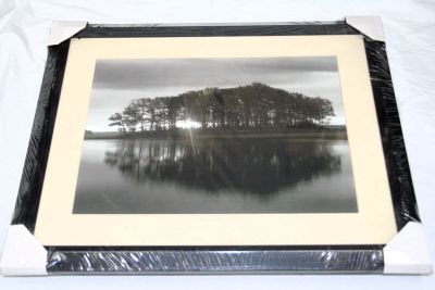 Framed Photo Print of Trees Reflection on a Lake 