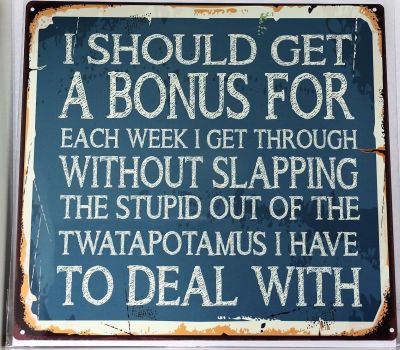 Twatapotamus's I Have To Deal With Metal Wall Sign 290mm x 290mm