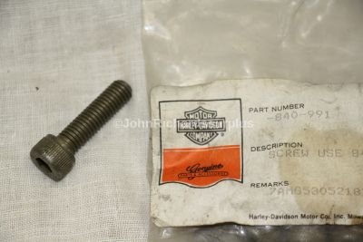 Harley Davidson Pack of 10 Screws 840-991