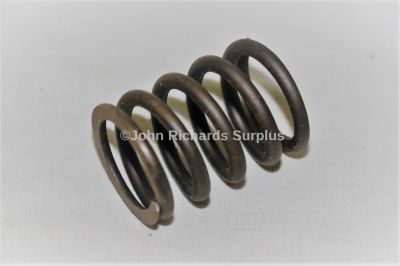 Bedford Valve Spring 8822867