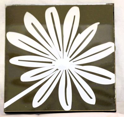 Decorative Wall Mount Mirror with Etched Floral Design 4682