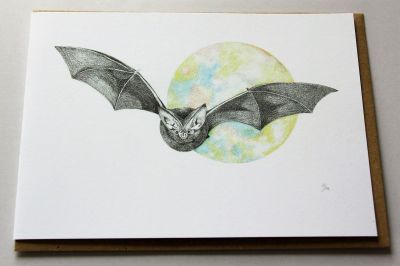 Emma Macleod Wild Life Blank Greeting Card Bertie Bat Night Flight Free P&P