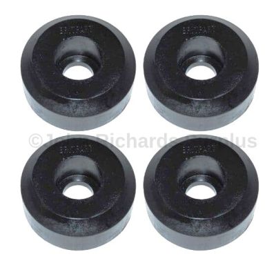 Polybush Kit P38 BL4136BUSH