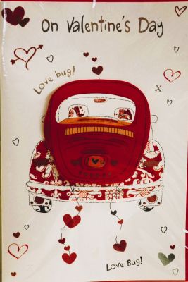 Valentines Day Card Love Bug Free P&P HAV252