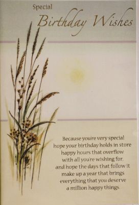 Happy Birthday Card Special Birthday Wishes Free P&P 9CHIC926B